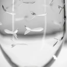 School of Fish 16oz Footed Ice Tea Glass