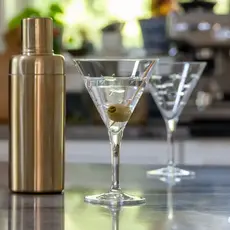 School of Fish Martini Glass