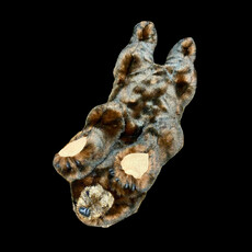 Cinnamon  Bear Hugs 18"