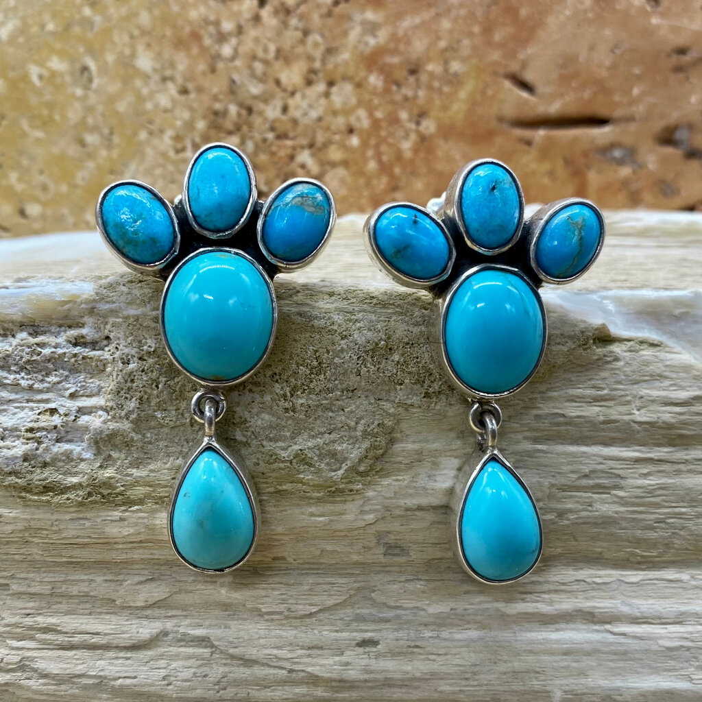 5-stone Turquoise & Silver Paw Earrings