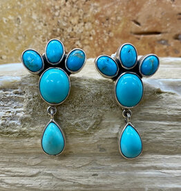 5-stone Turquoise & Silver Paw Earrings