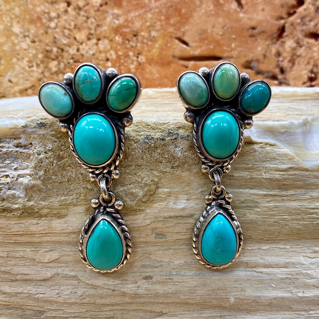 5-stone Turquoise Paw Post Earrings