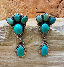 5-stone Turquoise Paw Post Earrings