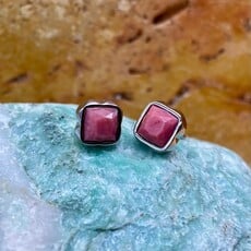 Birthstone Earrings Silver-