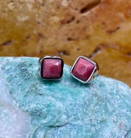 Birthstone Earrings Silver-