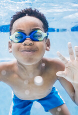 Foss Goggle Blue/Green