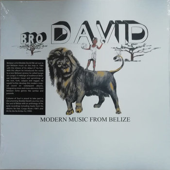 Bro David ‎– Modern Music From Belize LP