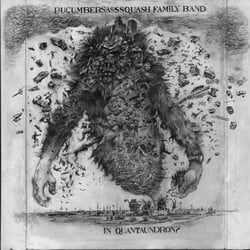 The Pucumber Sasssquash Family Band - Quantaundron? 12" (2017,Canada)