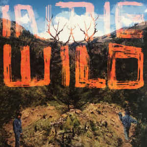 EL FaltyDL - In The Wild 2LP (2014 Ninja Tune)