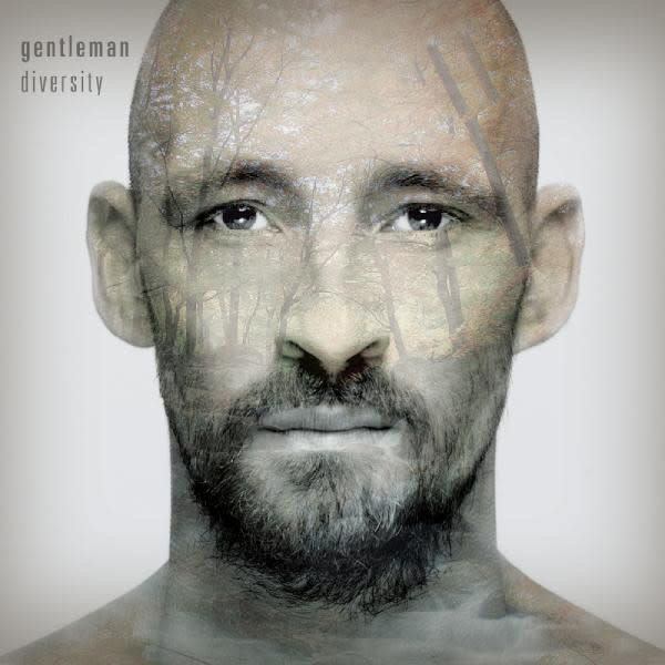 RG Gentleman ‎– Diversity LP (2011)