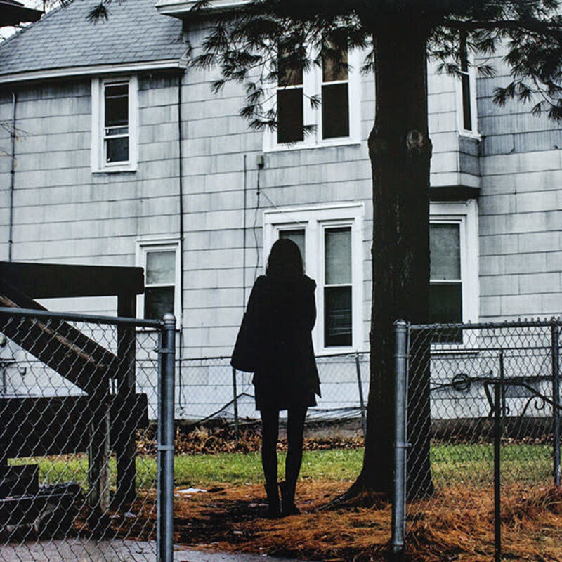 The Tallest Man On Earth - Dark Bird Is Home LP (2015), White Vinyl