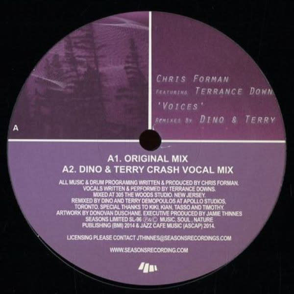 HS Chris Forman Featuring Terrance Downs ‎– Voices 12" (2016)