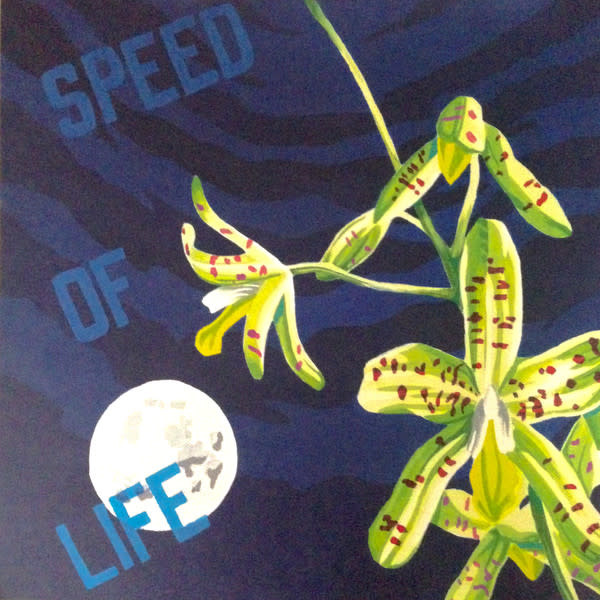 HS K15 - SPEED OF LIFE 2X12” (2017)