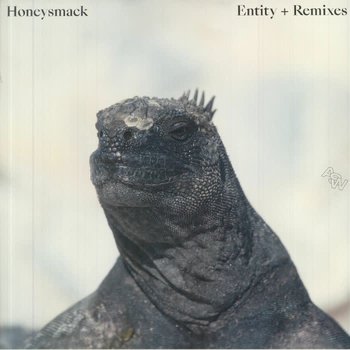 Honeysmack - Entity + Remixes LP (2022)