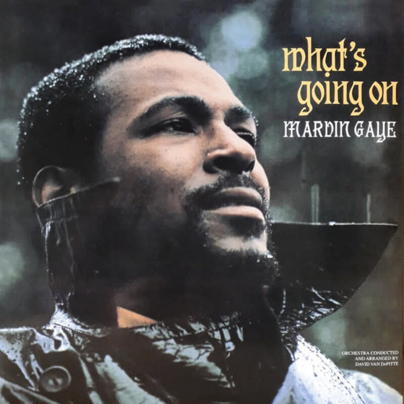 Marvin Gaye - What's Going On LP (2008 Reissue), Green Swamp