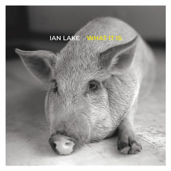 Ian Lake - What It Is LP (2022)