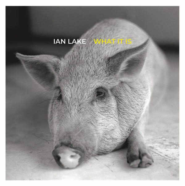 Ian Lake - What It Is LP (2022)
