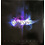 Evanescence - S/T LP [RSD2021], Purple Smoke