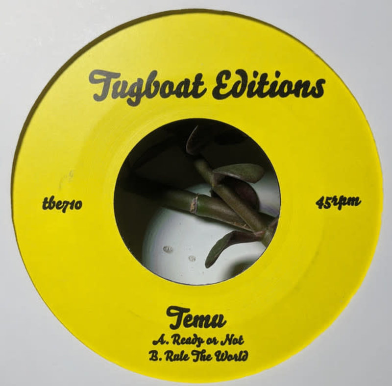 Temu ‎– Ready Or Not / Rule The World 7"