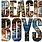 The Beach Boys - S/T LP (2015 Reissue)