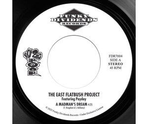 East Flatbush Project – A Madman's Dream 7