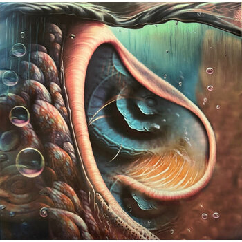 Various – Meddle Reimagined - A Tribute To Pink Floyd LP (2023, Limited Edition)