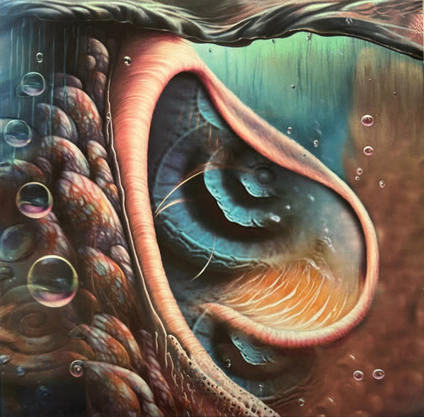 Various – Meddle Reimagined - A Tribute To Pink Floyd LP (2023, Limited Edition)