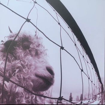 Pearl Jam - Vs. LP (2023 Reissue), Clear, 30th Anniversary