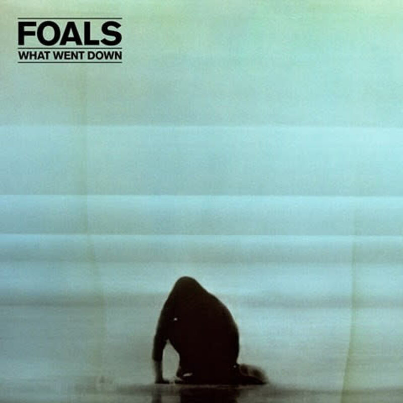 (VINTAGE) Foals - What Went Down LP [Cover:NM, Disc:NM] (2015, UK & Europe), 180g