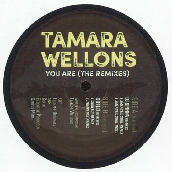 Tamara Wellons - You Are (The Remixes) 12" (2024, Ocha)