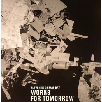 Eleventh Dream Day - Works For Tomorrow LP (2015)
