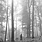 Taylor Swift - Folklore 2LP (2020), Brown "In The Trees" Vinyl, Deluxe Edition
