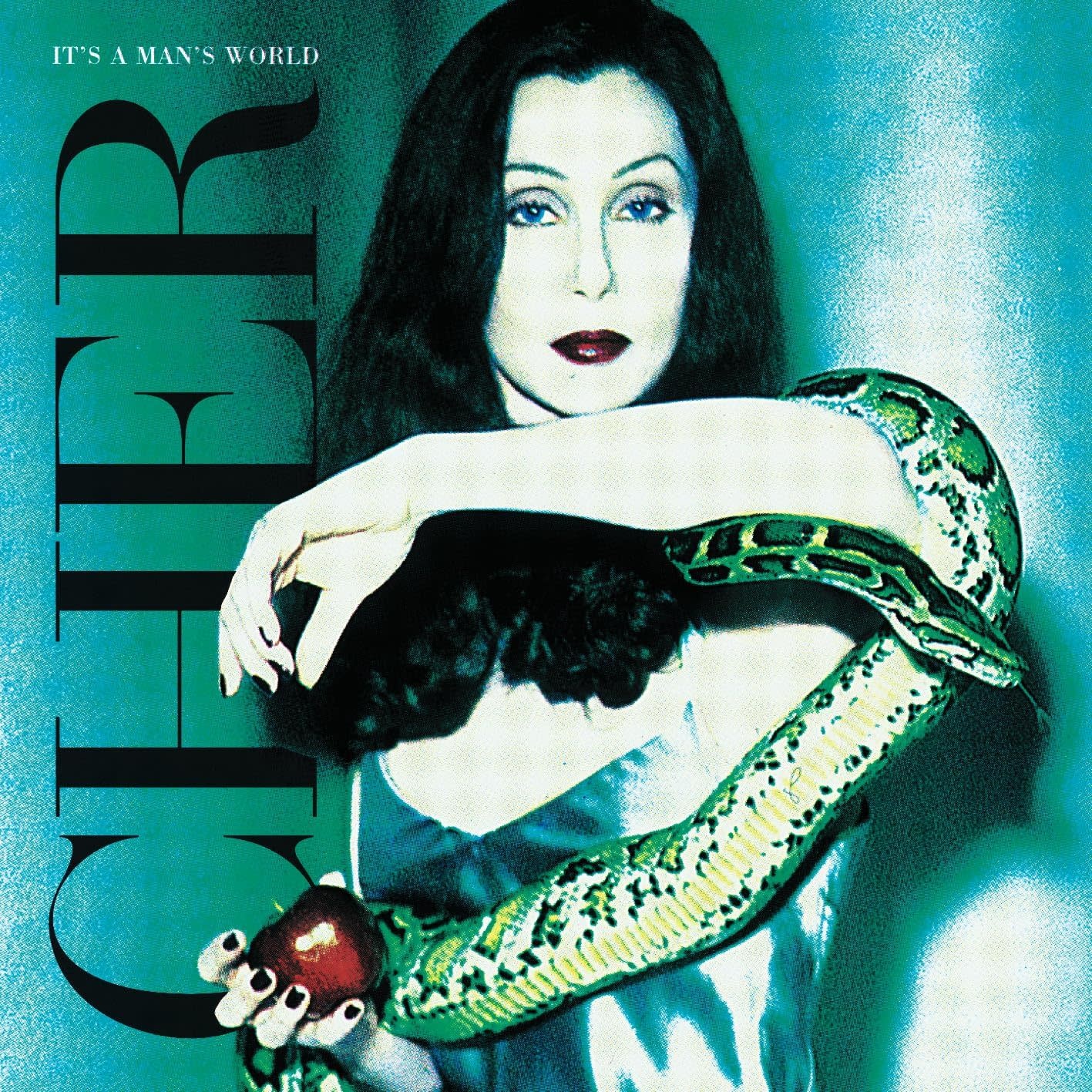Cher – It's A Man's World 2LP (2024 Reissue, Warner Records)