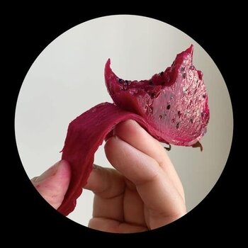 Tiga & Hudson Mohawke – LMZ​:​RMX 12" (2025, Picture Disc, Turbo)