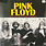 Pink Floyd - Red The Light, Dark The Night LP (2024)