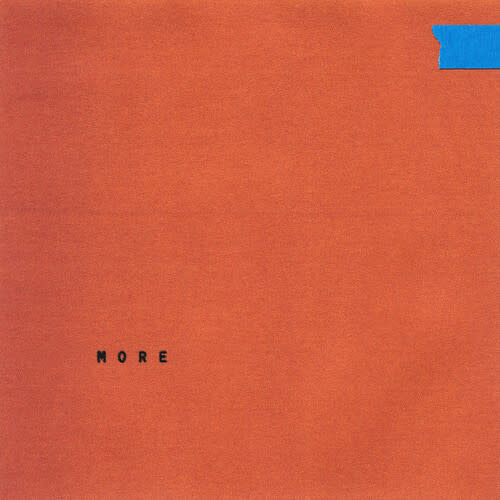 Wallows - More 12" EP [RSD2025]