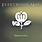 Fleetwood Mac – Greatest Hits LP (2025 Reissue, Translucent Forest Green Vinyl, Warner Bros. Records)