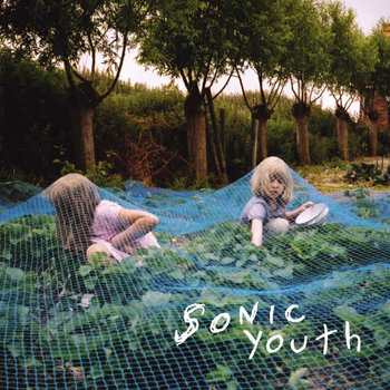 (VINTAGE) Sonic Youth - Murray Street LP [Cover:VG,Disc:NM](2016 Reissue, US)