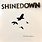 (VINTAGE) Shinedown - The Sound Of Madness LP [Cover,Disc:VG+] (2021 Reissue), Whtie