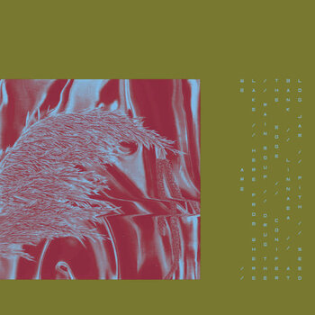 Pariah – Here From Where We Are LP (2018, Houndstooth)