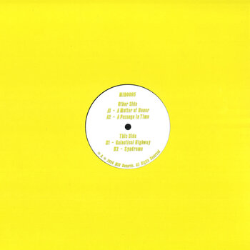 Mike Inzinger – Final Report 12" (2025, MIR Records)