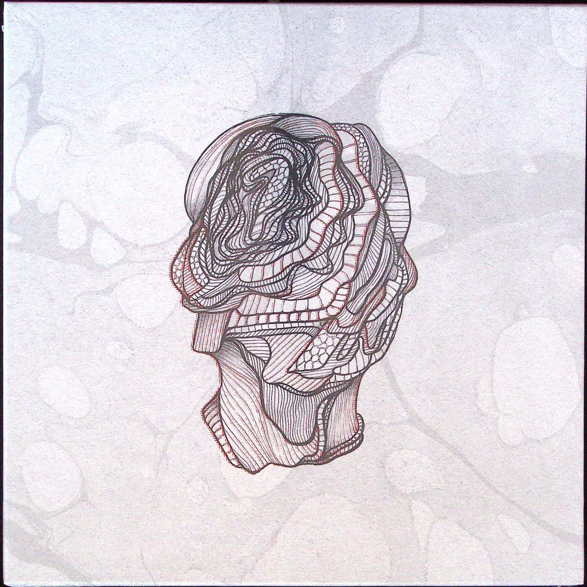 Calibre – Little Foot 5LP Boxset (2025, Signature Records)