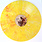 Unknown Artist – Brasil '25 EP 12" (2025, Vibez '93)