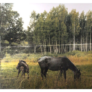 (VINTAGE) Pianos Become The Teeth - Old Pride LP [Cover,Disc:VG](2010,US), Translucent Orange w/ Black Smoke, Limited 1097 copies