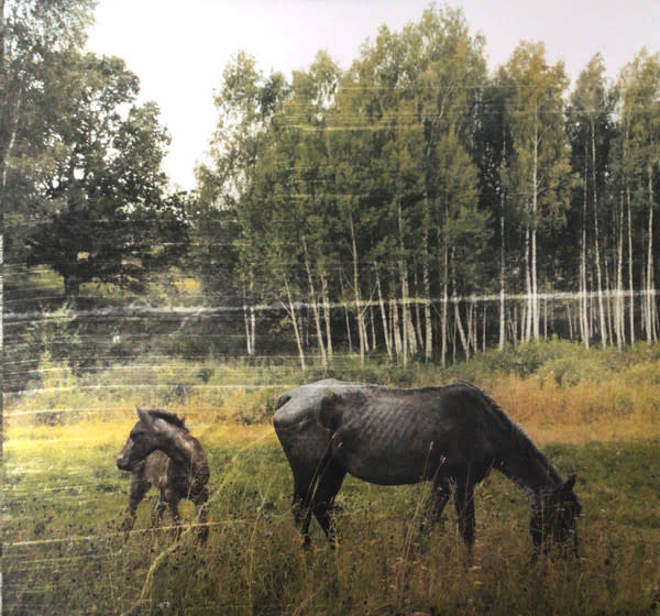 (VINTAGE) Pianos Become The Teeth - Old Pride LP [Cover,Disc:VG](2010,US), Translucent Orange w/ Black Smoke, Limited 1097 copies