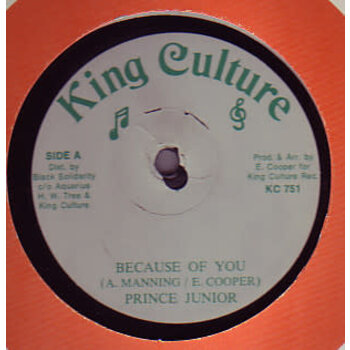 Prince Junior / Prince Allan – Because Of You / Stop Running 12" (King Culture)