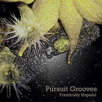 Pursuit Grooves - Frantic CD