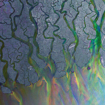 Alt-J ‎– An Awesome Wave LP