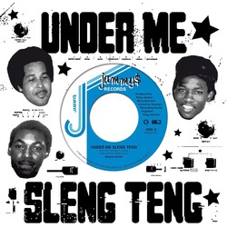 Wayne Smith - Under Me Sleng Teng 7" (2025, VP Records)