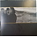 (VINTAGE) U2 - The Joshua Tree LP [VG](1987,Canada)